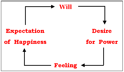 secondary loop of projection and introjection