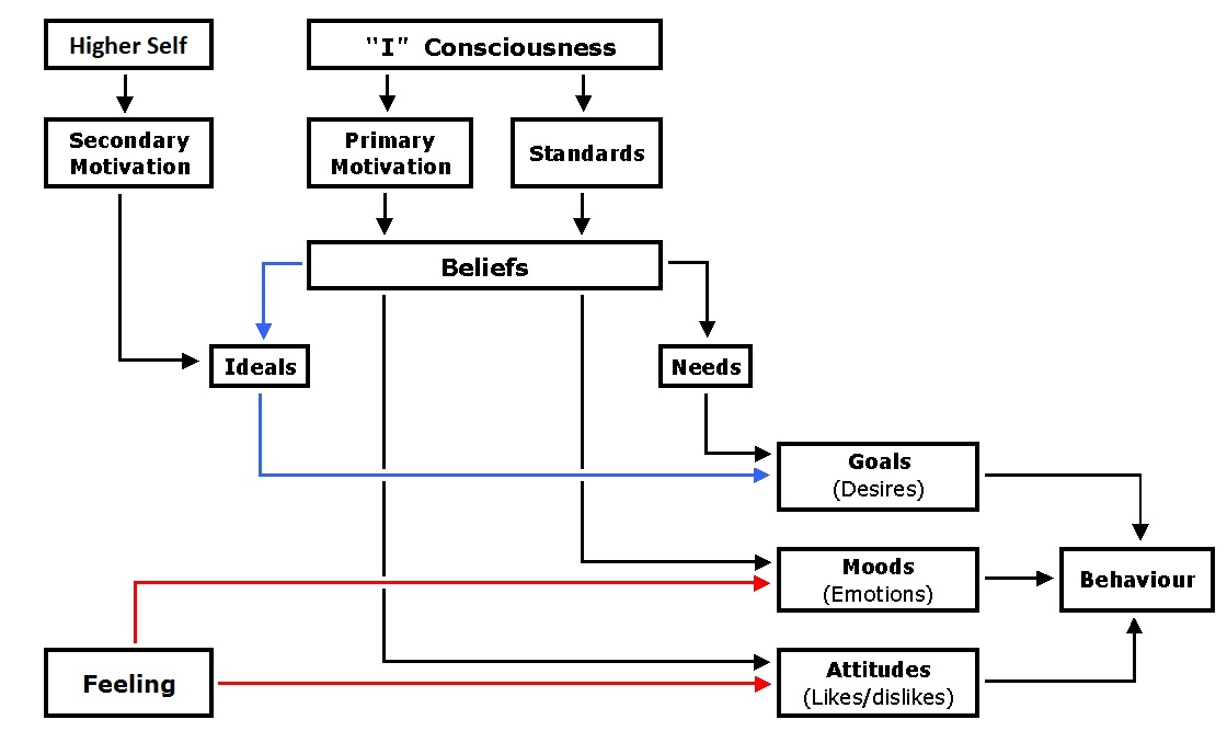 large diagram 6c